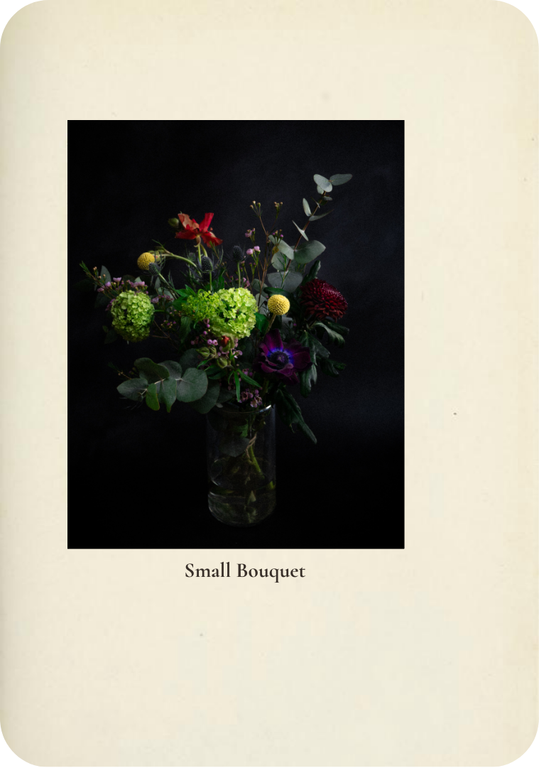 Botanical Bouquet